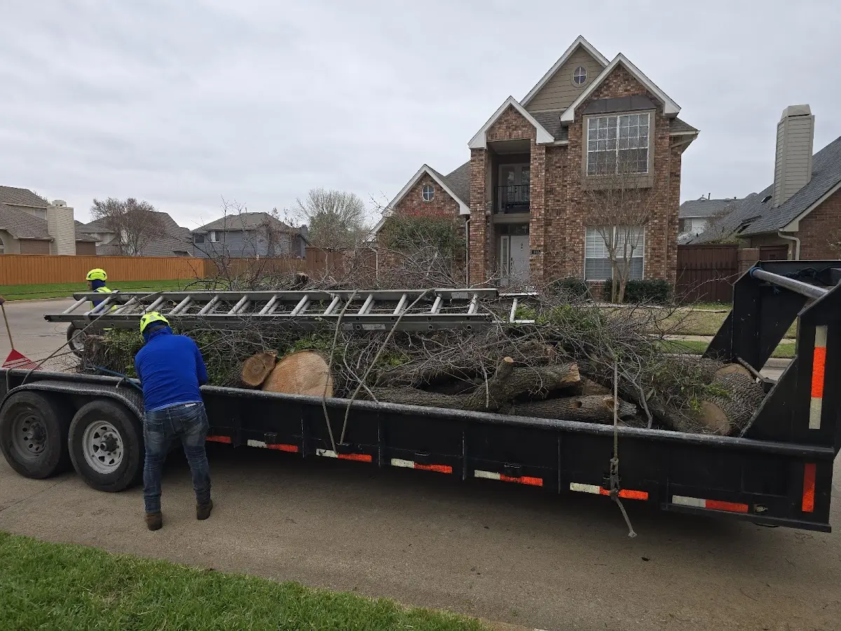Expert Lot Clearing with proper safety equipment in Laotto